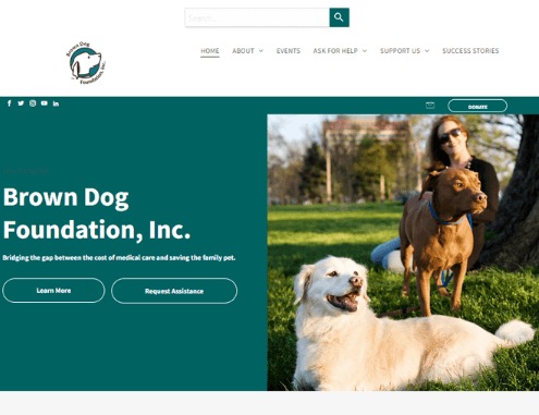 Hospital veterinario gratis Brown Dog Foundation